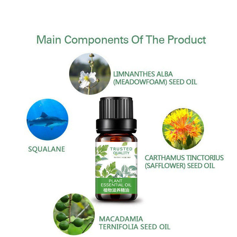 Green Flame Elixir – Plant Nourishing Essential Oil for Grounding & Divine Masculine Power