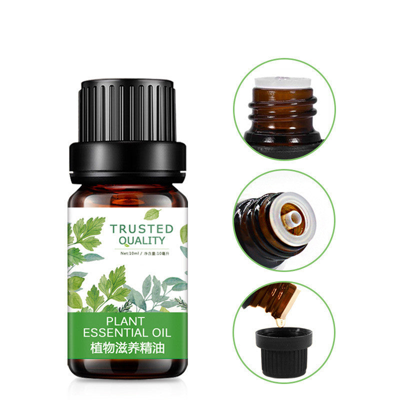 Green Flame Elixir – Plant Nourishing Essential Oil for Grounding & Divine Masculine Power