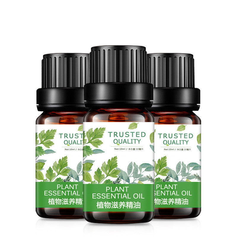Green Flame Elixir – Plant Nourishing Essential Oil for Grounding & Divine Masculine Power